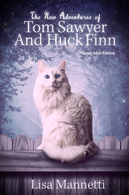 The New Adventures of Tom Sawyer and Huck FInn